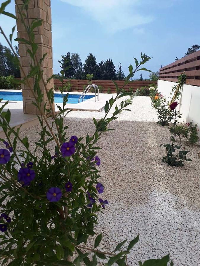 Olivia Villa 63 Paphos 外观 照片